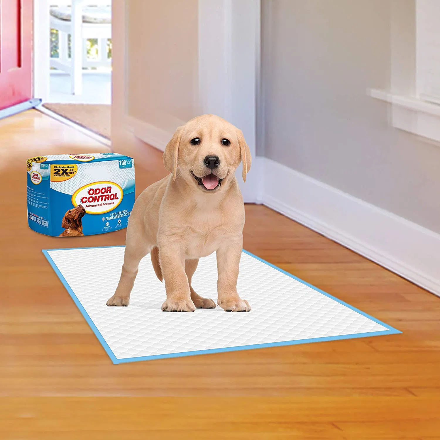 Disposable High Absorbent Puppy Training Underpad for Dog Training – Underpads and Medical Underpad